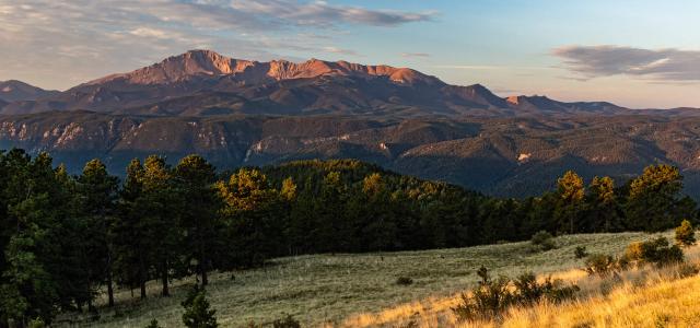 The Importance Of Education | Marathon Wealth Management